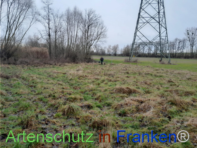 Bild zum Eintrag (1117242-160)