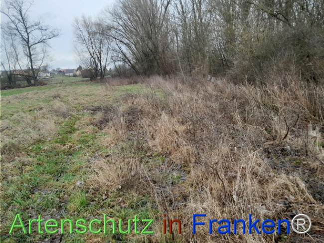 Bild zum Eintrag (1117243-160)
