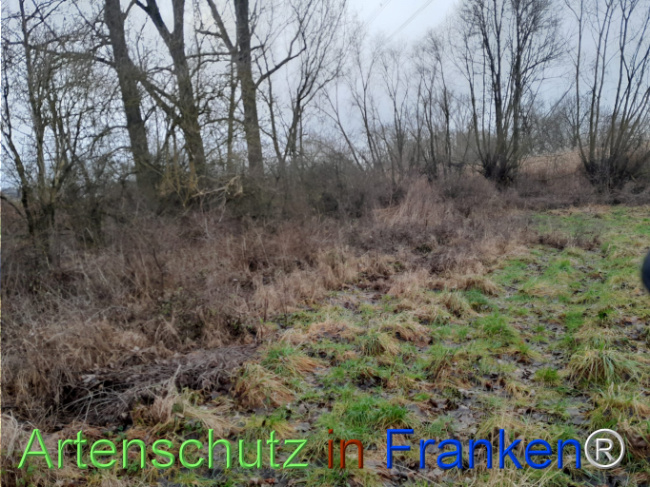 Bild zum Eintrag (1117244-160)