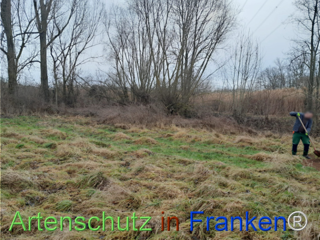 Bild zum Eintrag (1117245-160)