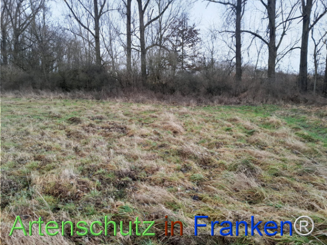 Bild zum Eintrag (1117252-160)