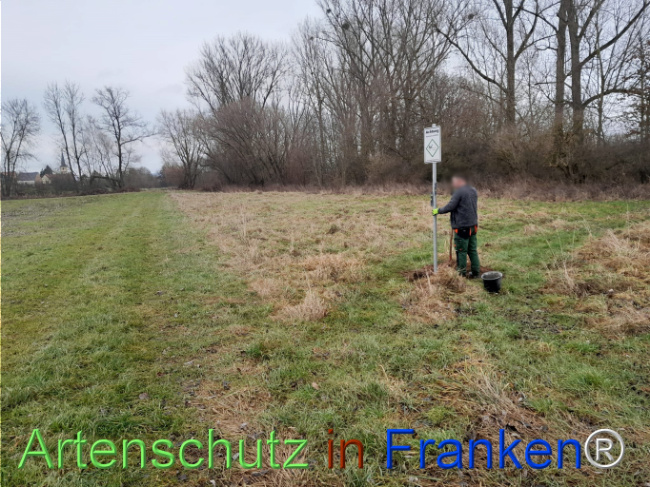 Bild zum Eintrag (1117253-160)