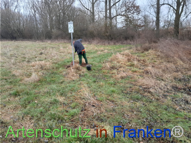 Bild zum Eintrag (1117255-160)
