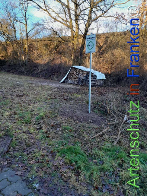 © Artenschutz in Franken® Bild zum Eintrag (1117273-160)