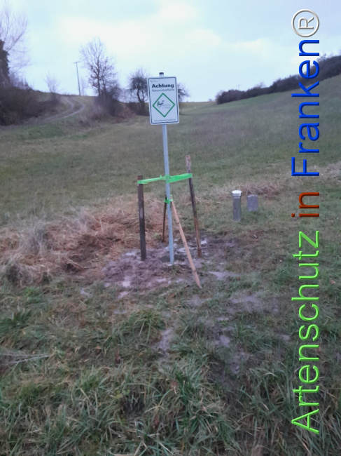 © Artenschutz in Franken® Bild zum Eintrag (1117274-160)