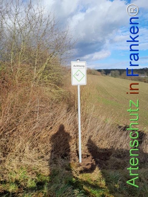 © Artenschutz in Franken® Bild zum Eintrag (1117275-160)