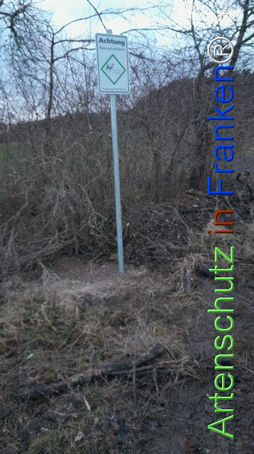 © Artenschutz in Franken® Bild zum Eintrag (1117277-160)