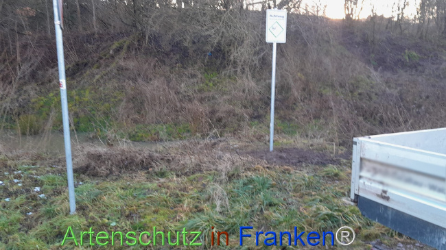 © Artenschutz in Franken® Bild zum Eintrag (1117278-160)