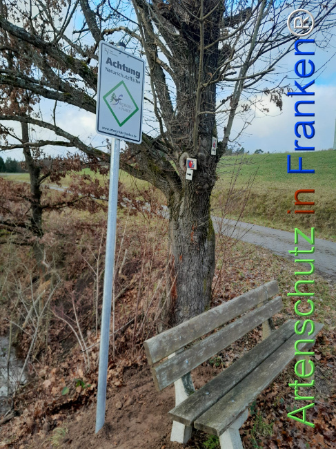 © Artenschutz in Franken® Bild zum Eintrag (1117280-160)