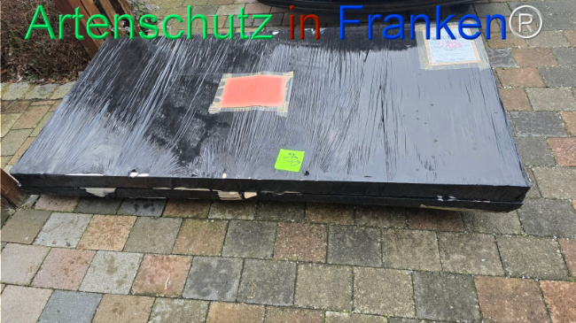 © Artenschutz in Franken® Bild zum Eintrag (1117367-160)