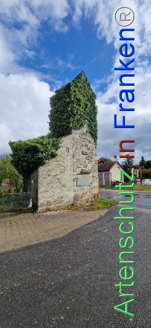 © Artenschutz in Franken® Bild zum Eintrag (1117887-160)