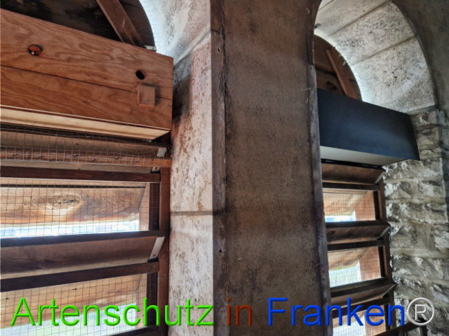 Bild zum Eintrag (1117931-160)