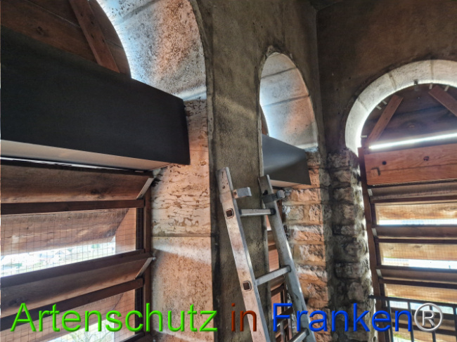 Bild zum Eintrag (1117932-160)