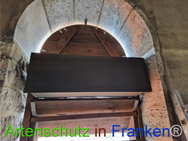 Bild zum Eintrag (1117933-160)