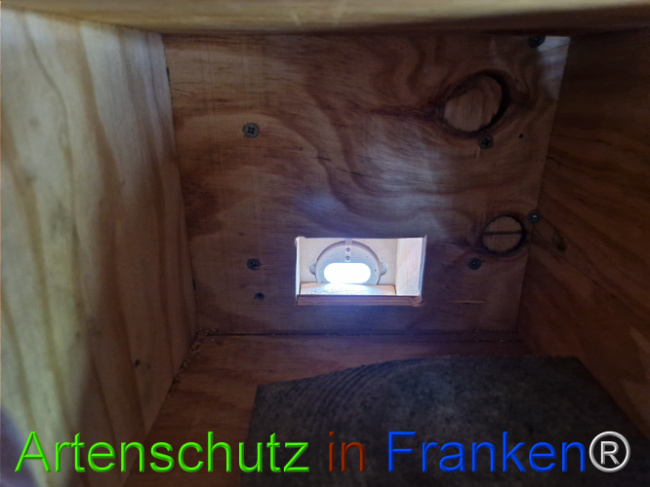 © Artenschutz in Franken® Bild zum Eintrag (1117936-160)