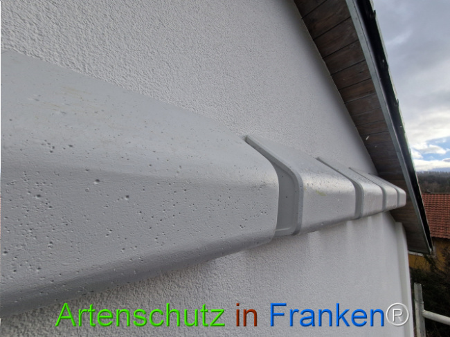 © Artenschutz in Franken® Bild zum Eintrag (1118110-160)