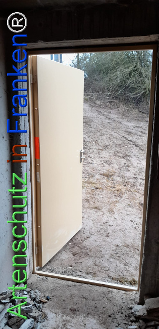 © Artenschutz in Franken® Bild zum Eintrag (1118495-160)