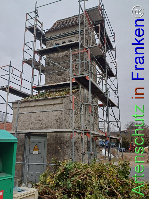Bild zum Eintrag (1118570-160)
