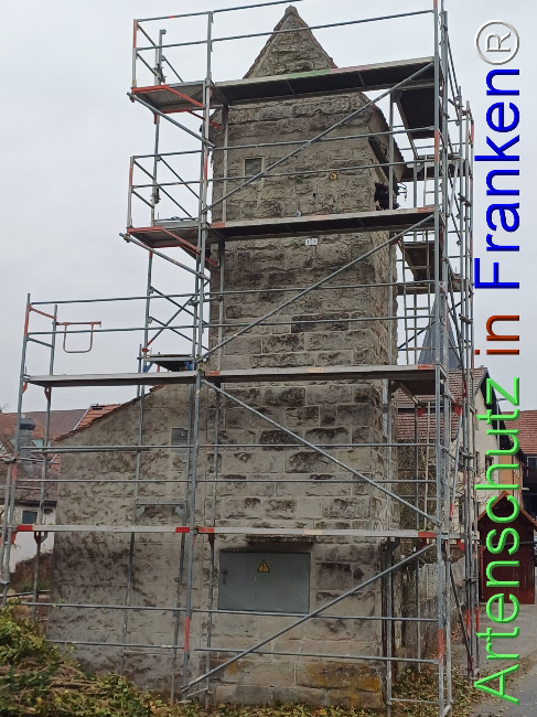 Bild zum Eintrag (1118575-160)