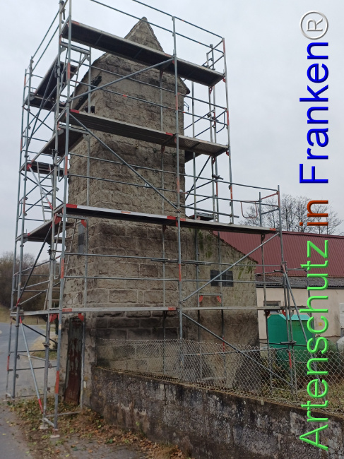 Bild zum Eintrag (1118576-160)