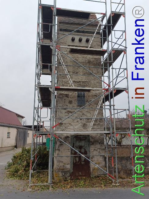 Bild zum Eintrag (1118577-160)