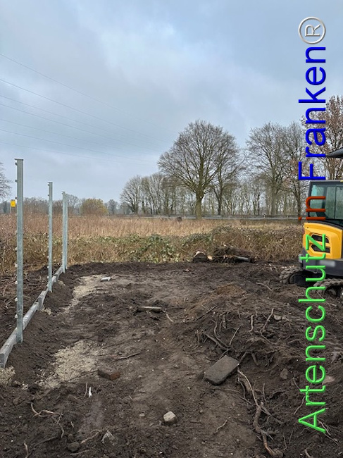 © Artenschutz in Franken® Bild zum Eintrag (1118624-160)