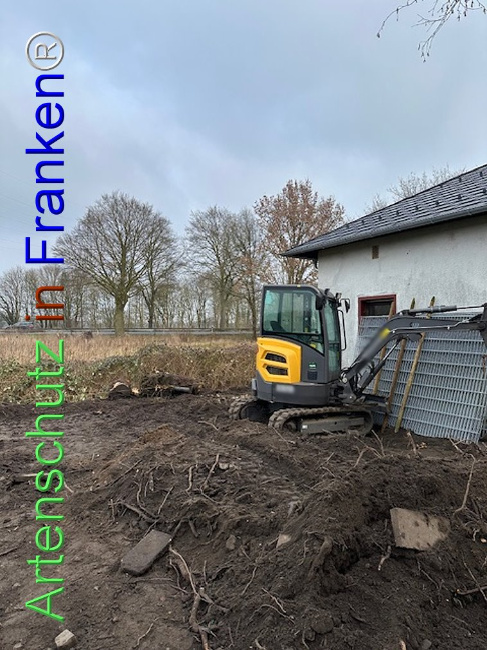 © Artenschutz in Franken® Bild zum Eintrag (1118625-160)
