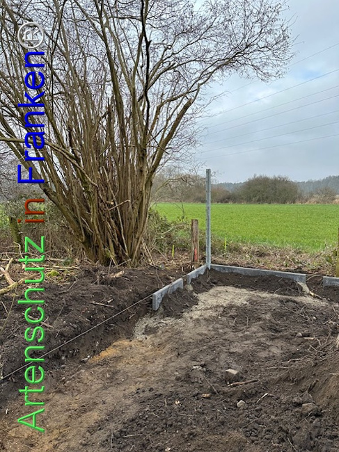 © Artenschutz in Franken® Bild zum Eintrag (1118627-160)