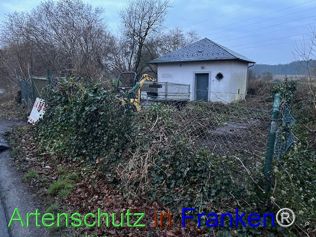 Bild zum Eintrag (1118628-160)