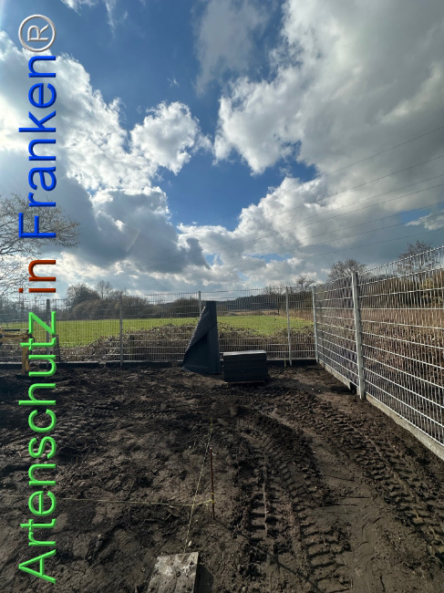 © Artenschutz in Franken® Bild zum Eintrag (1118802-160)