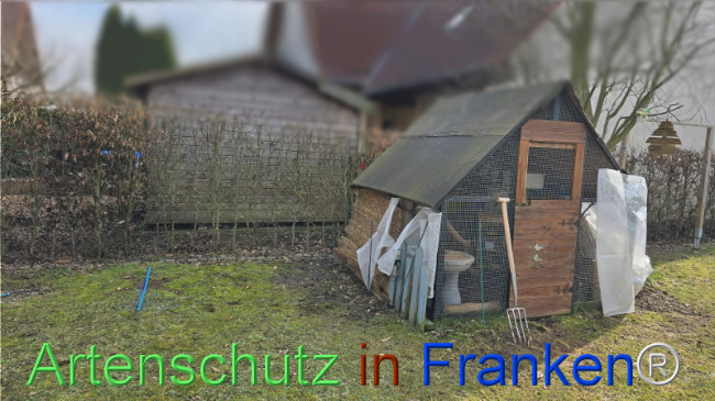 © Artenschutz in Franken® / Großkopf Bild zum Eintrag (1118818-160)