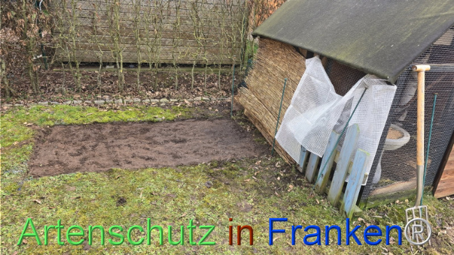 © Artenschutz in Franken® / Großkopf Bild zum Eintrag (1118821-160)
