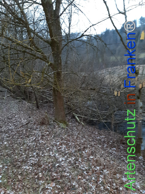 Bild zum Eintrag (1119060-160)