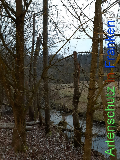 Bild zum Eintrag (1119061-160)