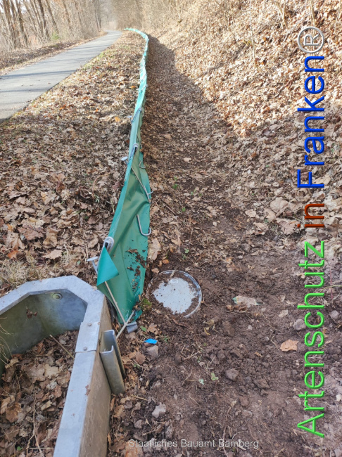 © Artenschutz in Franken® Bild zum Eintrag (1119073-160)