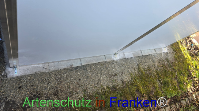© Artenschutz in Franken® Bild zum Eintrag (1119145-160)