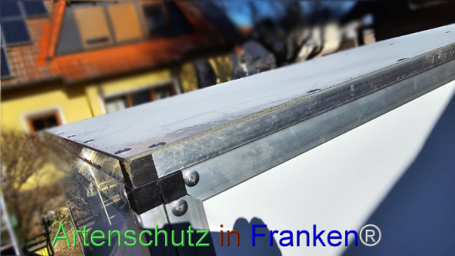 © Artenschutz in Franken® Bild zum Eintrag (1119146-160)