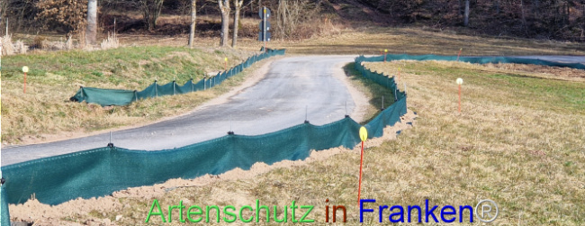 © Artenschutz in Franken® Bild zum Eintrag (1119199-160)