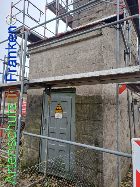 © Artenschutz in Franken® Bild zum Eintrag (1119256-160)