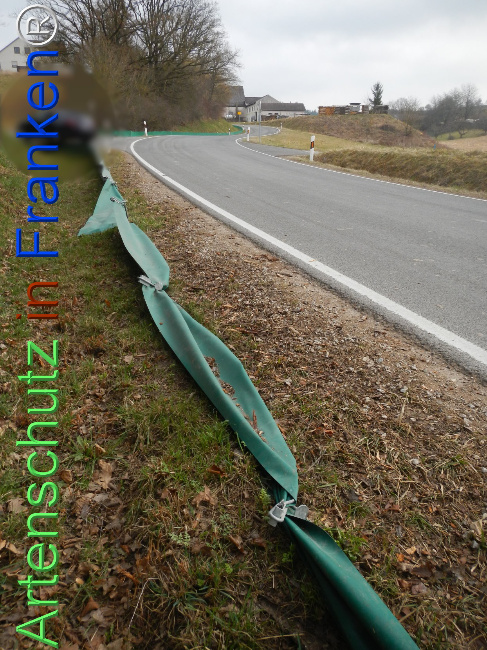 Bild zum Eintrag (1119264-160)