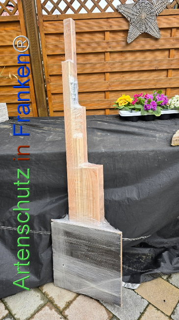 © Artenschutz in Franken® Bild zum Eintrag (1119389-160)