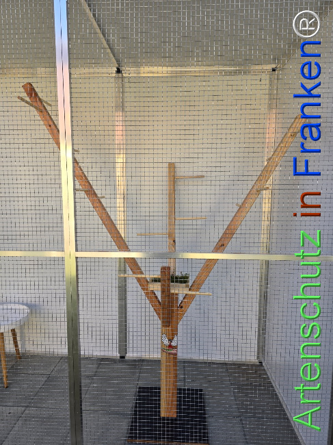 © Artenschutz in Franken® Bild zum Eintrag (1119454-160)