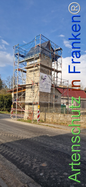 Bild zum Eintrag (1119619-160)