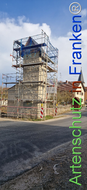 Bild zum Eintrag (1119620-160)