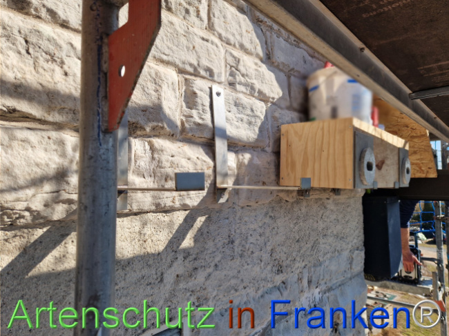 © Artenschutz in Franken® Bild zum Eintrag (1119623-160)