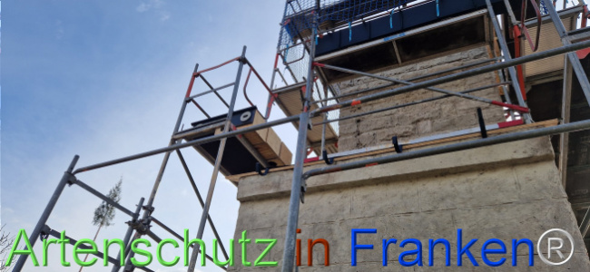 © Artenschutz in Franken® Bild zum Eintrag (1119624-160)