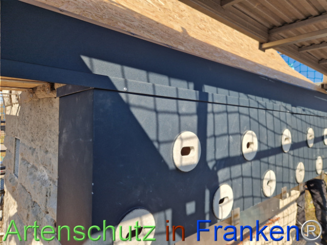 © Artenschutz in Franken® Bild zum Eintrag (1119625-160)