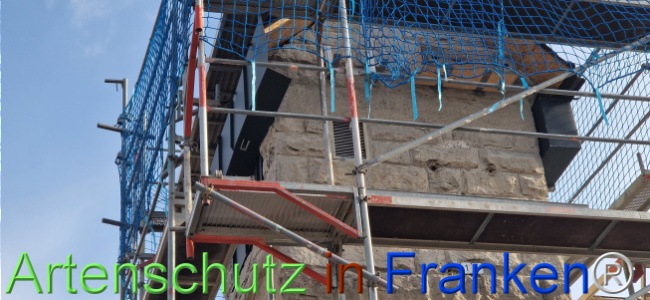 © Artenschutz in Franken® Bild zum Eintrag (1119632-160)