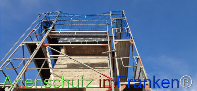 Bild zum Eintrag (1119636-160)