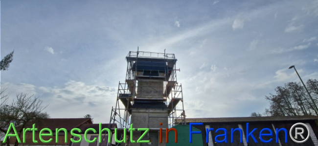 Bild zum Eintrag (1119639-160)